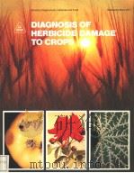 DIAGNOSIS OF HERBICIDE DAMAGE TO CROPS   1981  PDF电子版封面  0112408729   