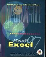MICROSOFT EXCEL     PDF电子版封面  0072282541   
