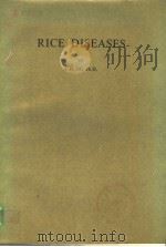 RICE DISEASES     PDF电子版封面     