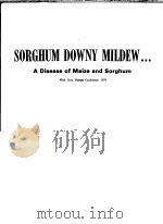 SORGHUM DOWNY MILDEW... A DISEASE OF MAIZE AND SORGHUM（ PDF版）