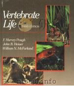 VERTEBRATE LIFE  THIRD EDITION   1989  PDF电子版封面  0023963603  F.HARVEY POUGH  JOHN B.HEISER 