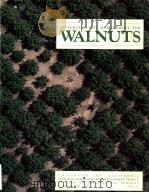 WALNATS     PDF电子版封面     