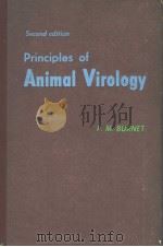 PRINCIPLES OF ANIMAL VIROLOGY  SECOND EDITION   1960  PDF电子版封面    F.M.BURNET 