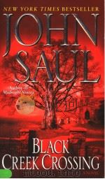 JOHN SAUL（ PDF版）