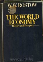 THE WORLD ECONOMY     PDF电子版封面  0333248392  W.W.ROSTOW 