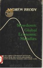 SLOWDOWN:GLOBAL ECONOMIC MALADIES   1985  PDF电子版封面  0803916493   