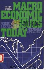 MACROECONOMIC ISSUES TODAY  ALTERNATIVE APPROACHES  FOURTH EDITION   1987  PDF电子版封面  0312503407  ROBERT B.CARSON 
