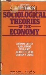 SOCIOLOGICAL THEORIES OF THE ECONOMY   1977  PDF电子版封面  0333213130  BARRY HINDESS 