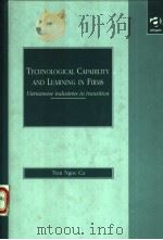 TECHNOLOGICAL CAPABILITY AND LEARNING IN FIRMS   1999  PDF电子版封面  1840149175  TRAN NGOC CA 