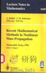 LECTURE NOTES IN MATHEMATICS 1640 RECENT MATHEMATICAL METHODS IN NONLINEAR WAVE PROPAGATION     PDF电子版封面  3540619070   