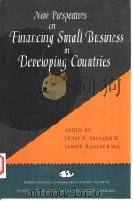 NEW PERSPECTIVES ON FINANCING SMALL BUSINESS IN DEVELOPING COUNTRIES   1995  PDF电子版封面  7558153411  ERNST A.BRUGGER SARATH RAJAPAT 