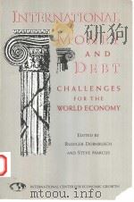 INTERNATIONAL MONEY AND DEBT  CHALLENGES FOR THE WORLD ECONOMY   1991  PDF电子版封面  1558150846   