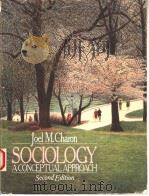 SOCIOLOGY  A CONCEPTUAL APPROACH  SECOND EDITION   1989  PDF电子版封面  0205118259  JOEL M.CHARON 