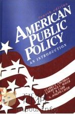 AMERICAN PUBLIC POLICY AN INTRODUCTION  FOURTH EDITION（1993 PDF版）