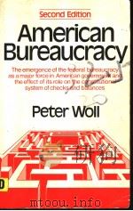 AMERICAN BUREAUCRACY  SECOND EDITION   1977  PDF电子版封面  0393008746  PETER WOLL 
