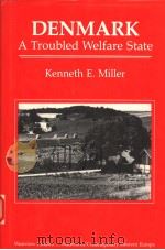 DENMARK:A TROUBLED WELFARE STATE   1991  PDF电子版封面  0813308348  KENNETH E.MILLER 