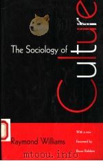 THE SOCIOLOGY OF CULTURE   1995  PDF电子版封面  0226899217   