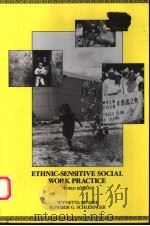 ETHNIC-SENSITIVE SOCIAL WORK PRACTICE  THIRD EDITION   1991  PDF电子版封面  0675212863  WYNETTA DEVORE  ELFRIEDE G.SCH 