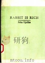 RABBIT IS RICH   1981年  PDF电子版封面    JOHN UPDIKE 