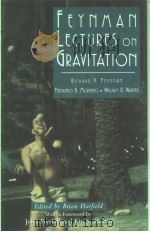 FEYNMAN LECTURES ON GRAVITATION   1995  PDF电子版封面  0201627345  BRIAN HATFIELD 