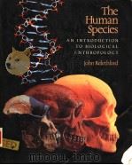 THE HUMAN SPECIES  AN INTRODUCTION TO BIOLOGICAL ANTHROPOLOGY   1990年  PDF电子版封面    JOHN RELETHFORD 