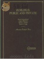 REMEDIES:PUBLIC AND PRIVATE     PDF电子版封面  0314710167  DAVID SCHOENBROD  ANGUS MACBET 