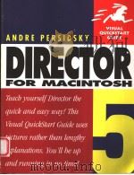 DIRECTOR  5   1996  PDF电子版封面  0201886421  ANDRE PERSIDSKY 