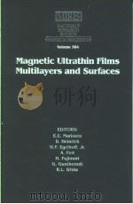 MAGNETIC ULTRATHIN FILMS MULTILAYERS AND SURFACES  VOLUME 384（ PDF版）