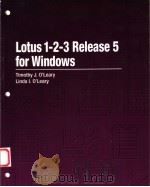 LOTUS 1-2-3 RELEASE 5 FOR WINDOWS（1995 PDF版）