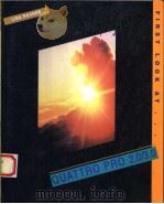 FIRST LOOK AT QUATTRO PRO 2.0/3.0   1992  PDF电子版封面  0070538115  LISA ROSNER 