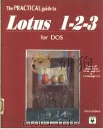 THE PRACTICAL GUIDE TO LOTUS 1-2-3（1992 PDF版）
