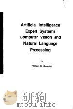 ARTIFICIAL INTELLIGENCE EXPERT SYSTEMS COMPUTER VISION AND NATURAL LANGUAGE PROCESSING（ PDF版）