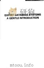 EXPERT DATABASE SYSTEMS A GENTLE INTRODUCTION     PDF电子版封面  0077072405   