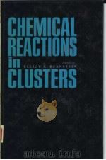 CHEMICAL REACTIONS IN CLUSTERS   1996  PDF电子版封面  0195090047  ELLIOT R.BERNSTEIN 