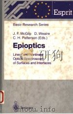 EPIOPTICS LINEAR AND NONLINEAR OPTICAL SPECTROSCOPY OF SURFACES AND INTERFACES（1995 PDF版）