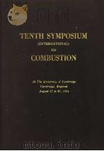 TENTH SYMPOSIUM INTERNATIONAL ON COMBUSTION（ PDF版）