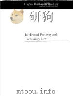 INTELLECTUAL PROPERTY AND TECHNOLOGY LAW     PDF电子版封面     