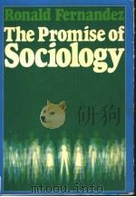 THE PROMISE OF SOCIOLOGY   1975  PDF电子版封面  0275522806   