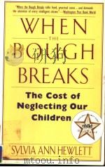 WHEN THE BOUGH BREAKS  THE COST OF NEGLECTING OUR CHILDREN   1991  PDF电子版封面  0060974796   