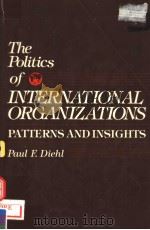THE POLITICS OF INTERNATIONAL ORGANIZATIONS  PATTERNS AND INSIGHTS   1989  PDF电子版封面  0256068402  PAUL F.DIEHL 