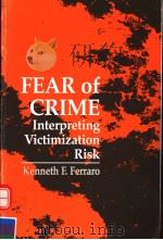 FEAR OF CRIME  INTERPRETING VICTIMIZATION RISK   1995  PDF电子版封面  0791423697   