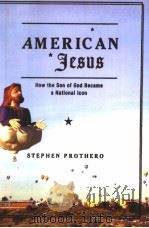 AMERICAN JESUS     PDF电子版封面  0374178909   