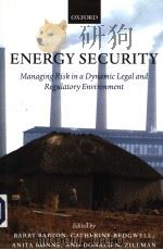 ENERGY SECURITY（ PDF版）