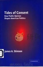 TIDES OF CONSENT     PDF电子版封面  0521601177  JAMES A.STIMSON 