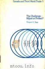 THE CHALLENGE：ADJUST OR PROTECT?     PDF电子版封面  0920494218  MARGARET A.BIGGS 