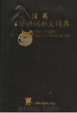 汉英汉语新词新义词典（1999 PDF版）