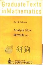 ANALYSIS NOW     PDF电子版封面  7806207400  GERT K.PEDERSEN 