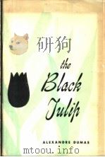 THE BLACK JULIP     PDF电子版封面    ALEXANDRE DUMAS 