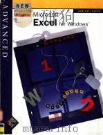 NEW PERSPECTIVES ON MICROSOFT EXCEL FOR WINDOWS   1996  PDF电子版封面  0760035334   