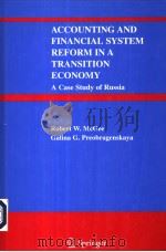 ACCOUNTING AND FINANCIAL SYSTEM REFORM IN A TRANSITION ECONOMY  A CASE STUDY OF RUSSIA（ PDF版）